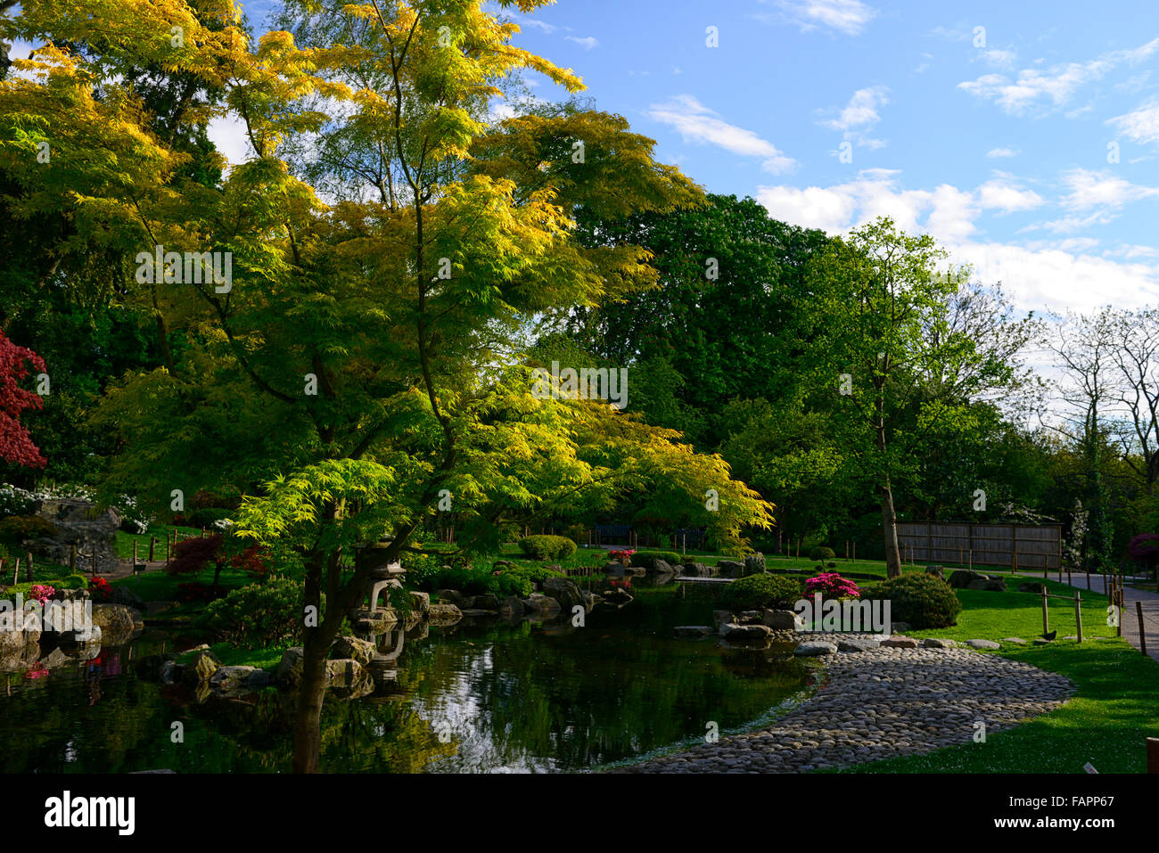 Kyoto Garden giardini Giapponesi style asian Holland Park City Notting Hill Gate Kensington London RM Floral Foto Stock
