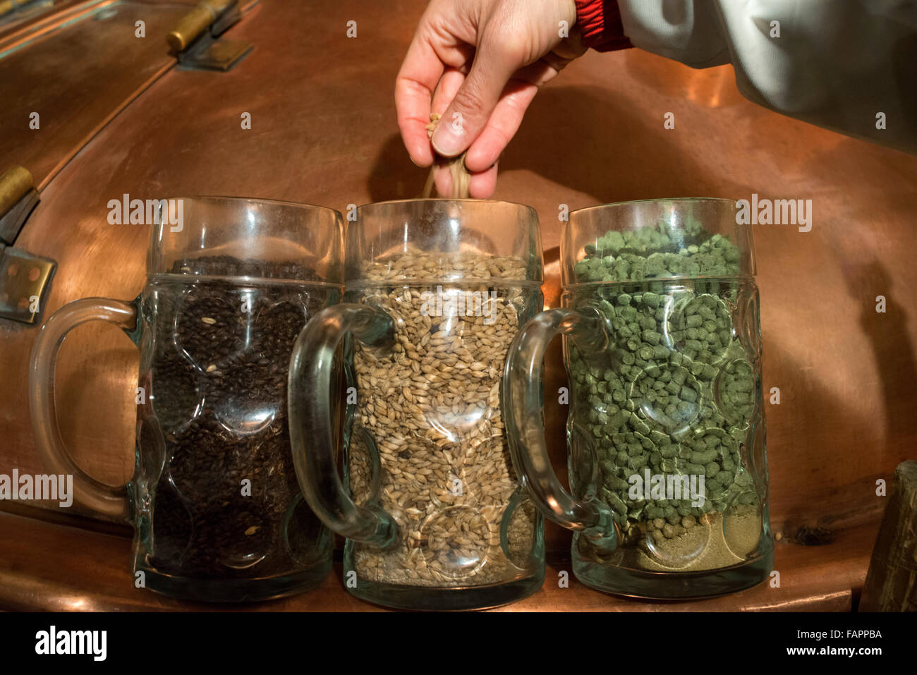 Ingredienti per la birra ceca. Se qualcosa è noto la città di Pilsen nel mondo è sicuramente la sua birra, la maggior parte emblema Foto Stock
