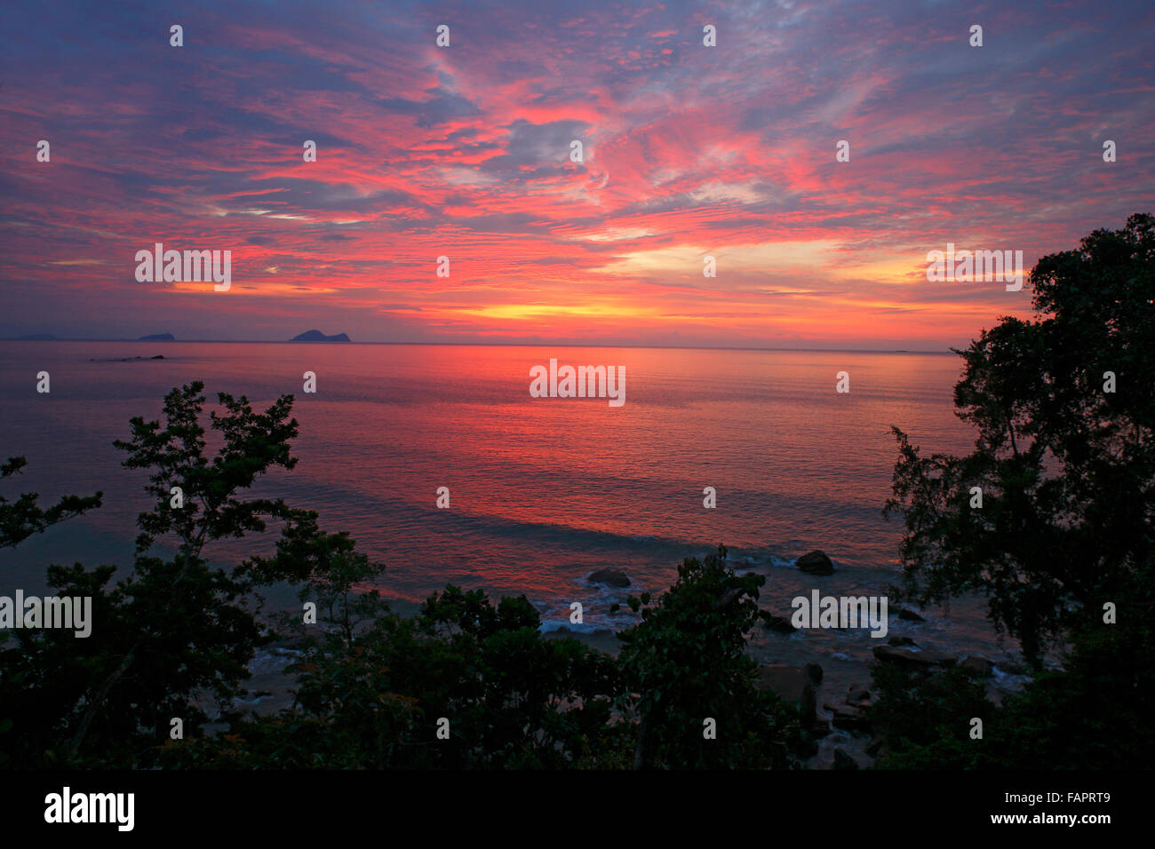 Tramonto sul Mare della Cina del Sud, Costa a Permai Rainforest, Sarawak, Borneo, Malaysia, Asia Foto Stock