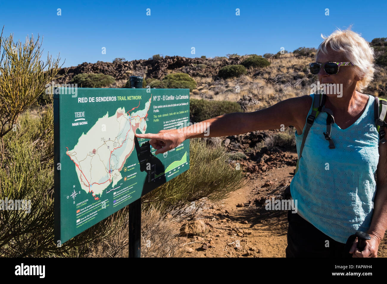 Passeggiate attraverso il paesaggio vulcanico nel Las Canadas del Parco Nazionale del Teide Tenerife, Isole Canarie, Spagna. Foto Stock