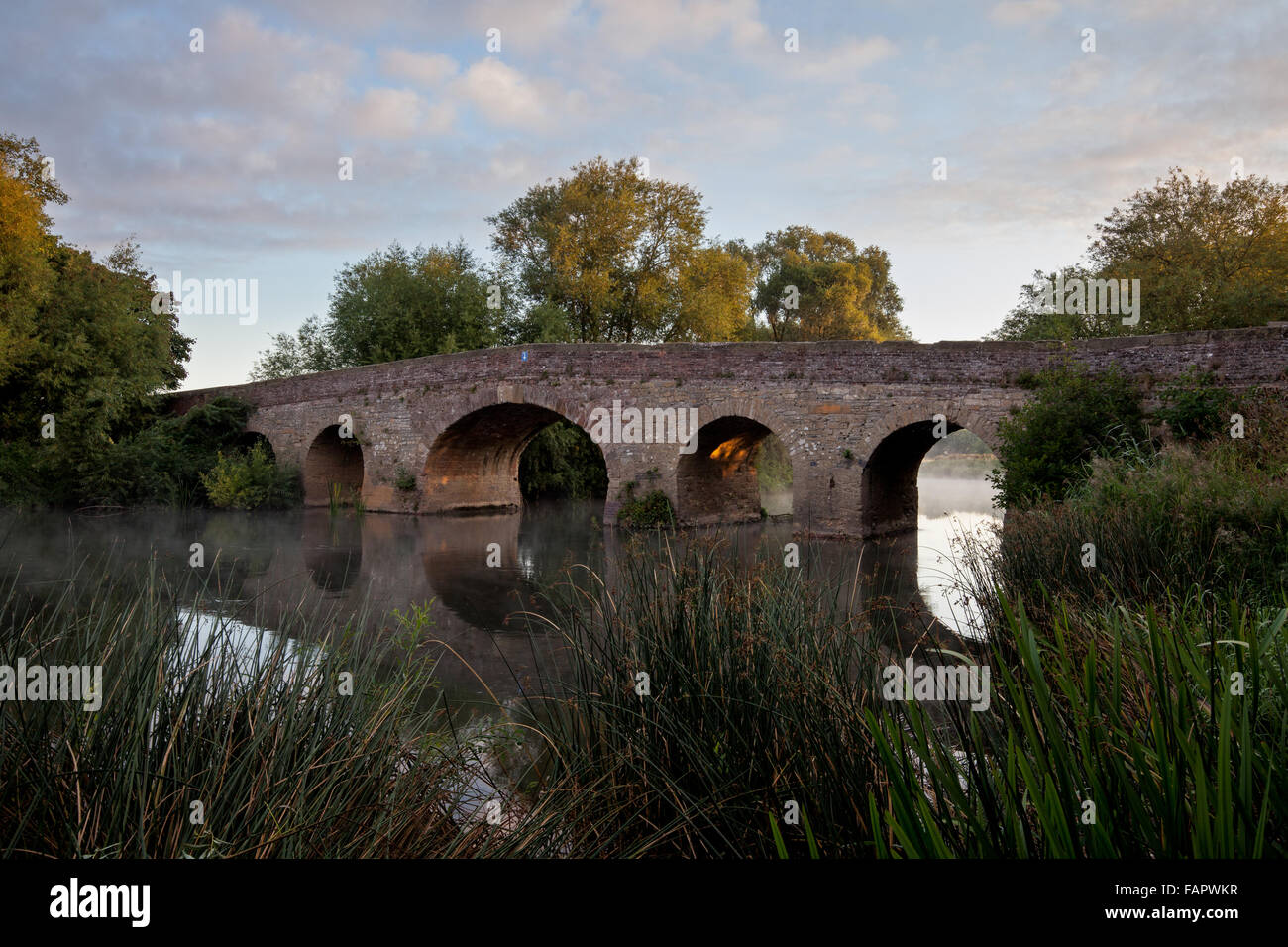 Pershore vecchio ponte sul fiume Avon all'alba Foto Stock