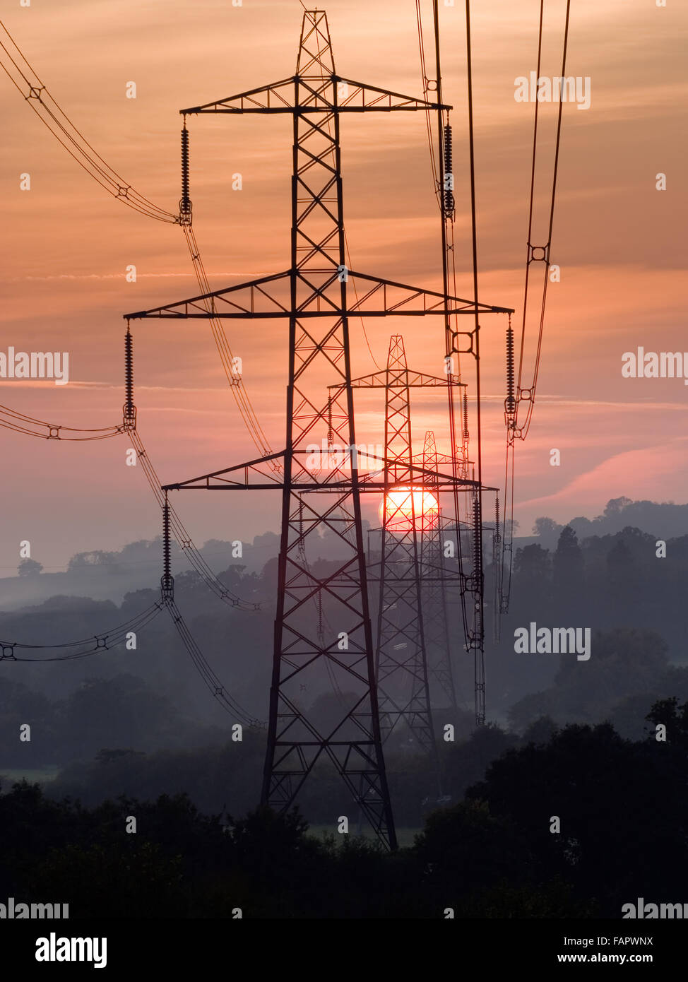 Elettricità tralicci stagliano contro il sole di setting in Devon Foto Stock