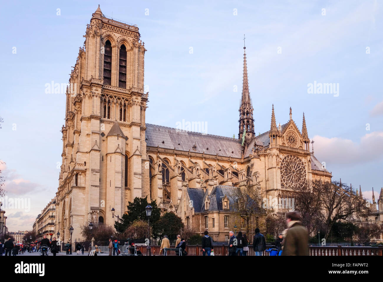 La cattedrale di Notre Dame nel quarto arrondissement, Ile de la Cite, Parigi. La Francia. Foto Stock