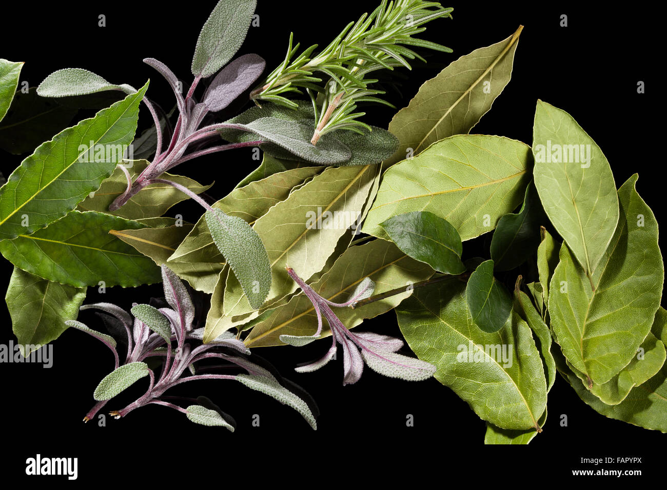 Tradizionale erbe culinarie. Foglie di alloro, salvia e rosmarino su sfondo nero, vista dall'alto. Foto Stock