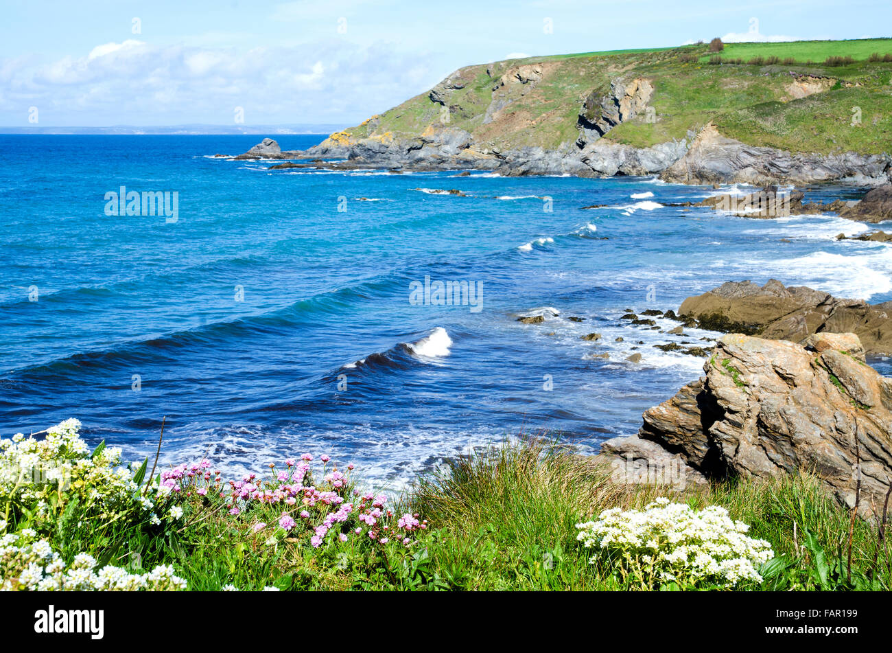 Dollar cove a Gunwalloe in Cornovaglia, England, Regno Unito Foto Stock