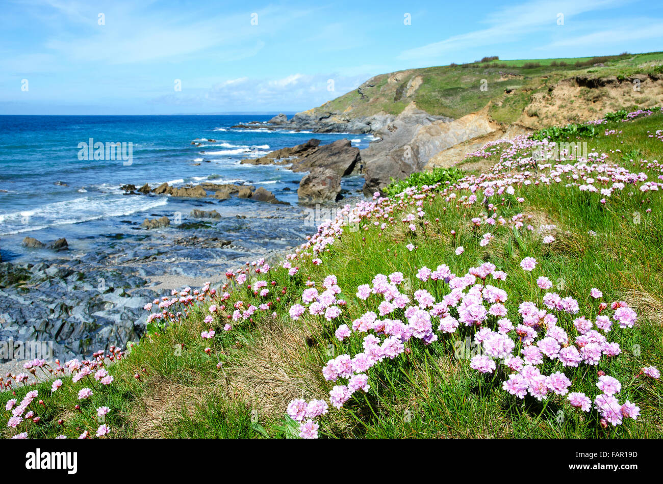 Dollar cove a Gunwalloe in Cornovaglia, England, Regno Unito Foto Stock