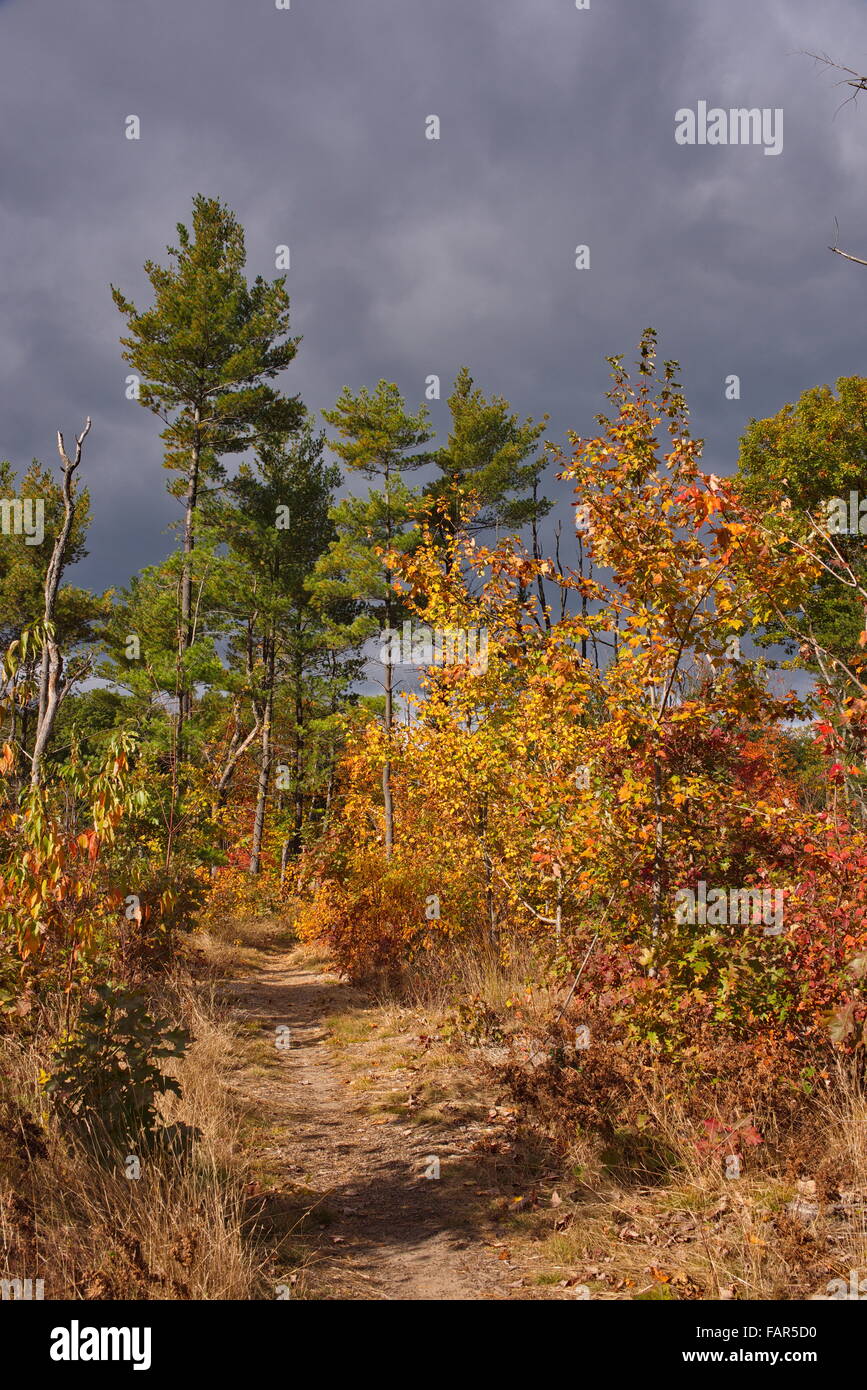 Autunno a colori con la tempesta in arrivo sul sentiero a Riley sentieri Park Foto Stock