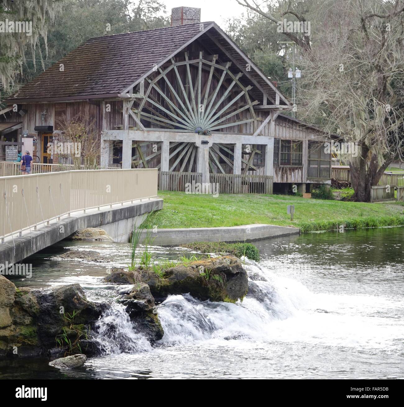 DeLeon Springs State Park. L'acqua sgorga dalla primavera passato il vecchio mulino, ora un ristorante Foto Stock