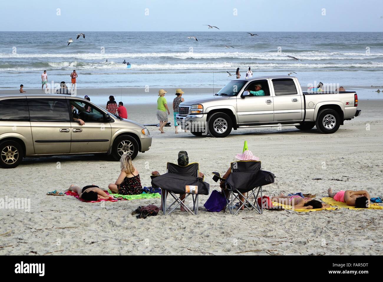 Veicoli, nuotatori e lucertole da mare condividere la spiaggia, New Smyrna Beach, Florida Foto Stock