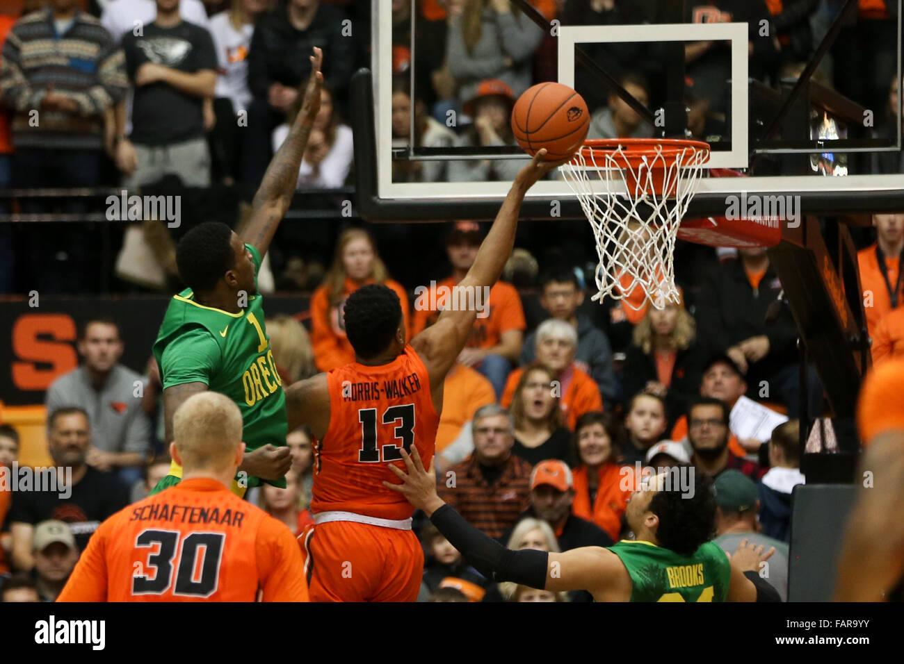 Corvallis, Oregon, Stati Uniti d'America. 3 gennaio, 2015. LANGS MORRIS-WALKER (13) rigidi per il cestello. Oregon State castori host della University of Oregon Ducks a Gill Colosseo in Corvallis, o su Janurary 3rd, 2016. Foto di David Blair Credito: David Blair/ZUMA filo/Alamy Live News Foto Stock