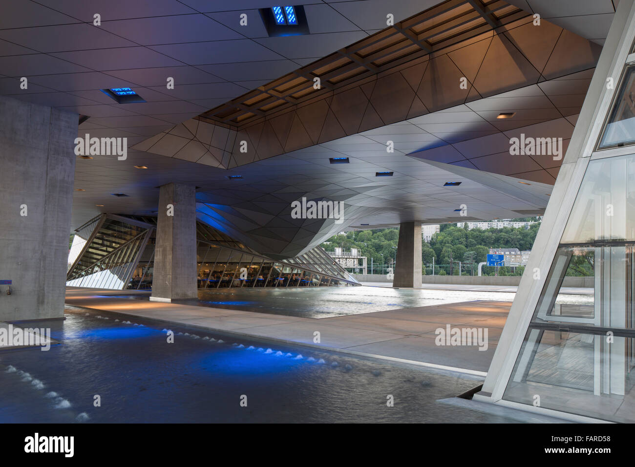 Costruzione di intradosso con caratterizzazioni d'acqua. Il Musée des Confluences, Lione, Francia. Architetto: COOP HIMMELB(L)AU, 2014. Foto Stock