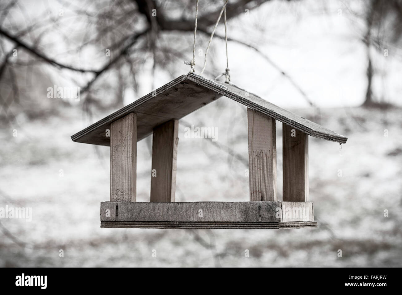 Legno bird shelter appeso in un albero durante il freddo inverno Foto Stock