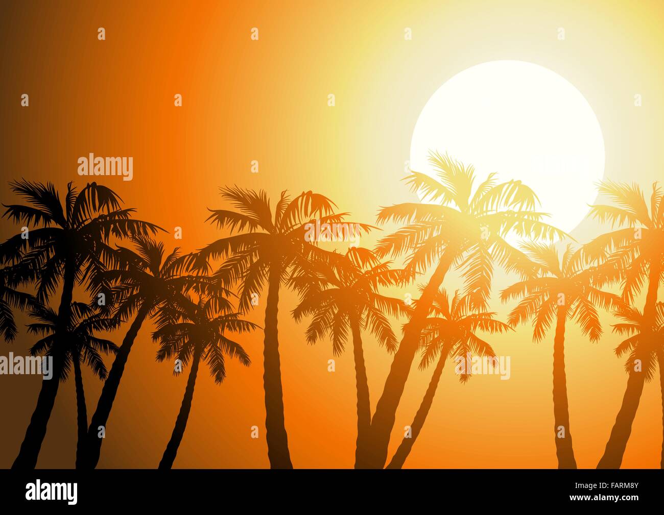 Alberi di palma tropicali silhouette a sunrise . Illustrazione Vettoriale
