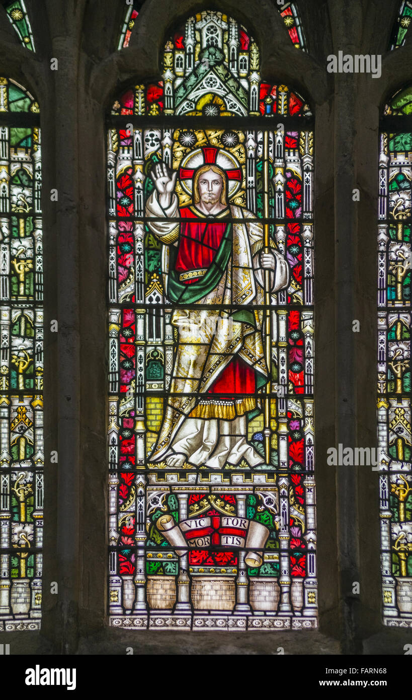 Colorata finestra in vetro di piombo presso la cattedrale di Exeter, Devon, Inghilterra, Regno Unito Foto Stock