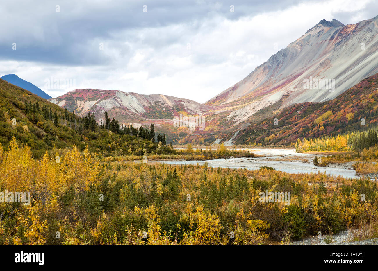 Fiume Gulkana, Richardson Highway. Foto Stock