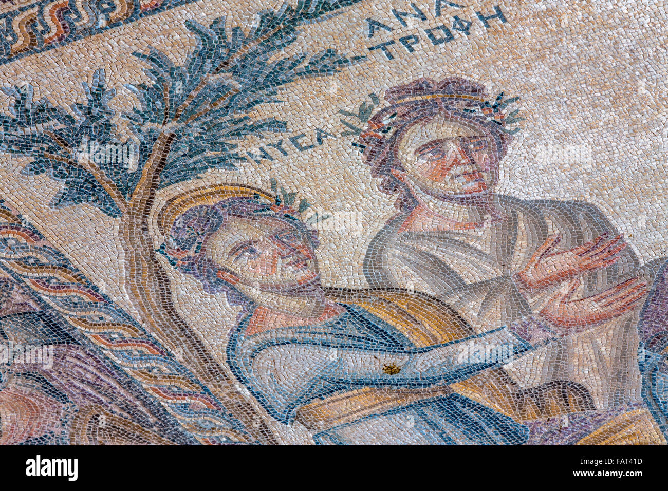 Cipro, Kato Pafos, Pafos sito archeologico. Roman mosaici pavimentali, Patrimonio Mondiale dell UNESCO Foto Stock