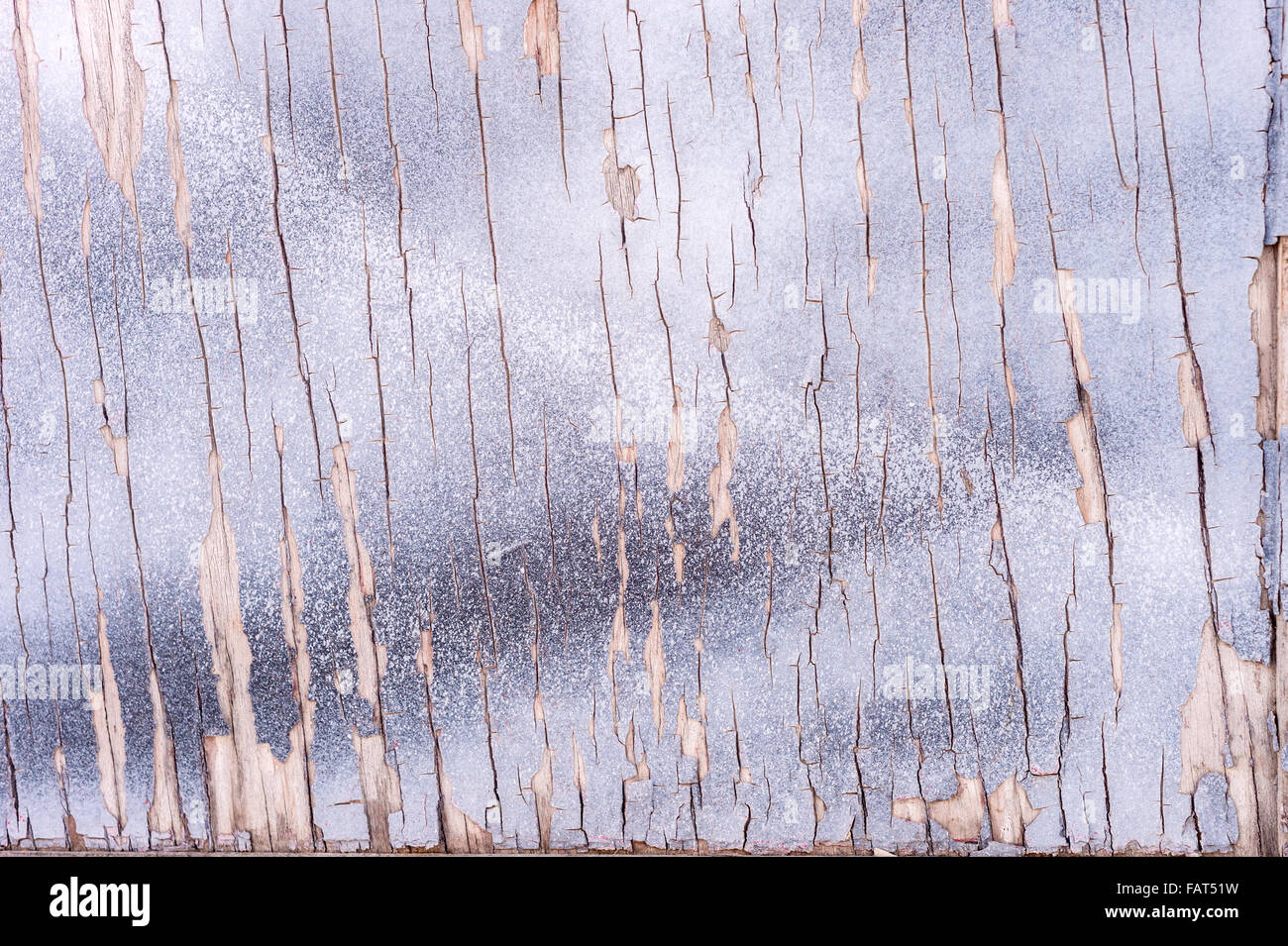 Vecchio grigio parete in legno sfondo con molte sfumature di grigio Foto Stock