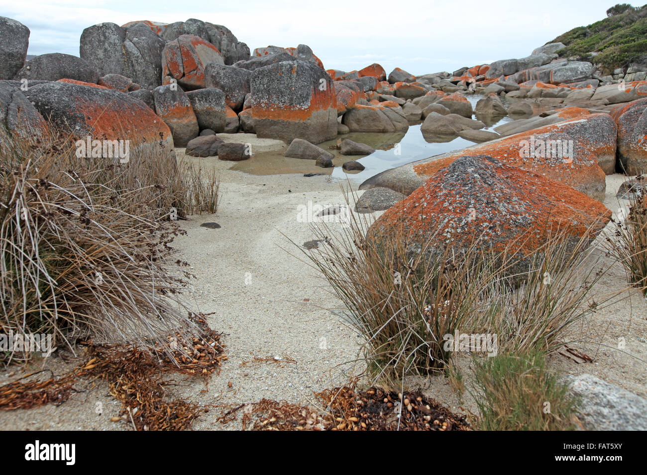 Ancora una vita di una spiaggia in Tasmania Foto Stock