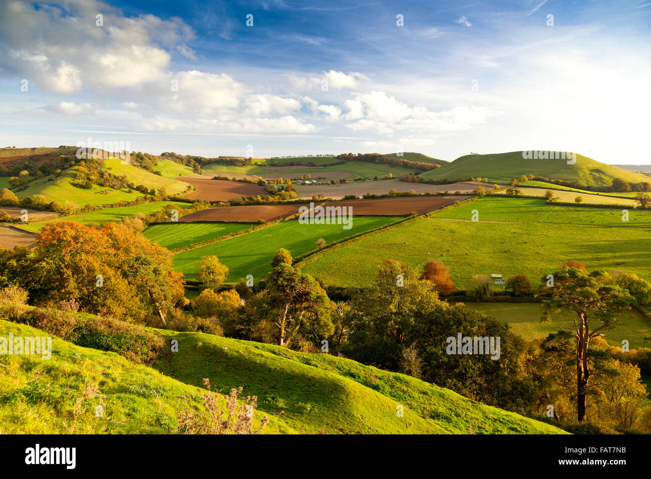 La vista della collina Parrock dal vertice della storica collina Cadbury nel Somerset, Inghilterra, Regno Unito Foto Stock