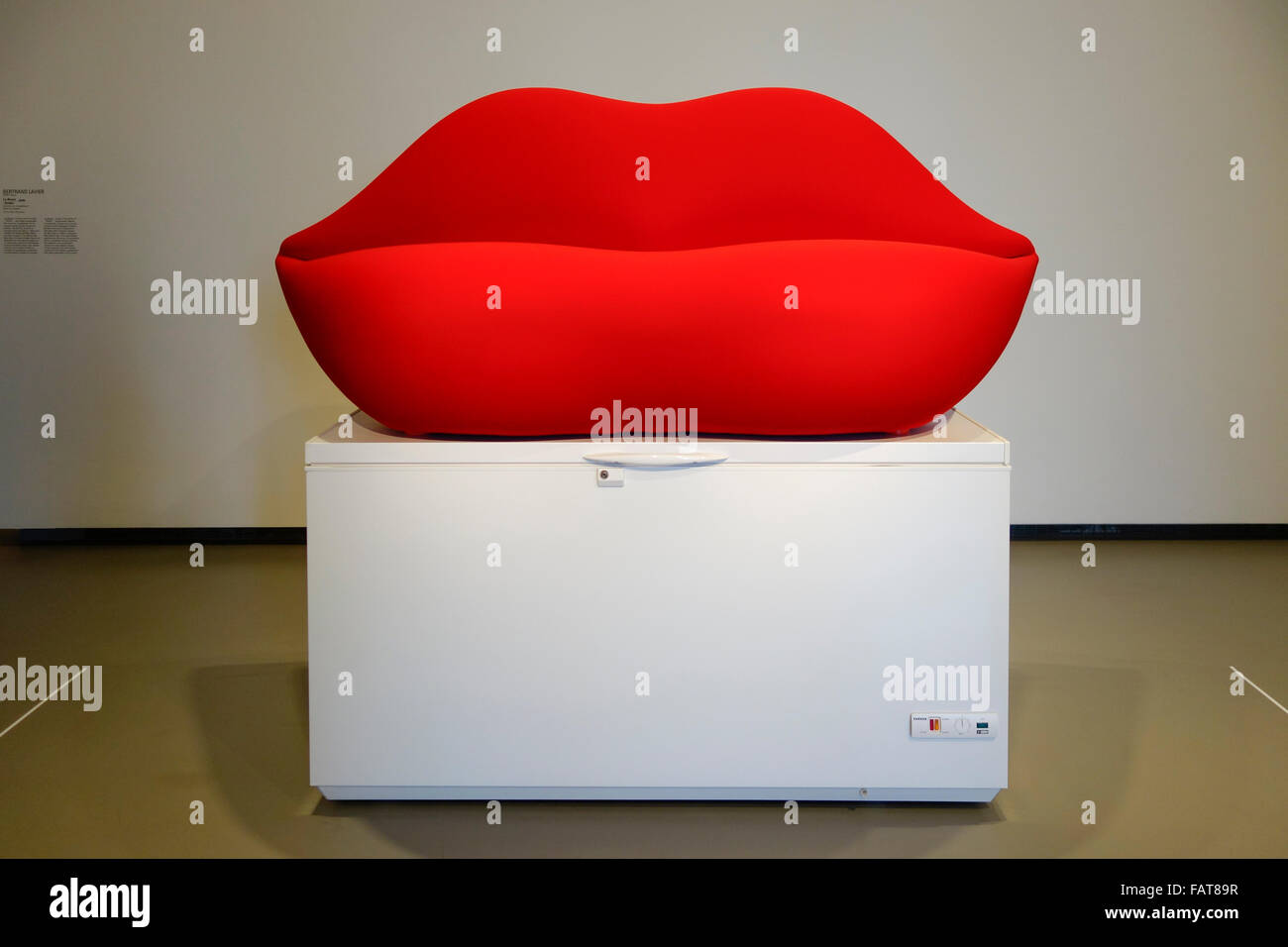 La Bocca sur Zanker, Bertrand Lavier, divano in freezer, a Louis Vuitton Foundation, Parigi, Francia. Foto Stock