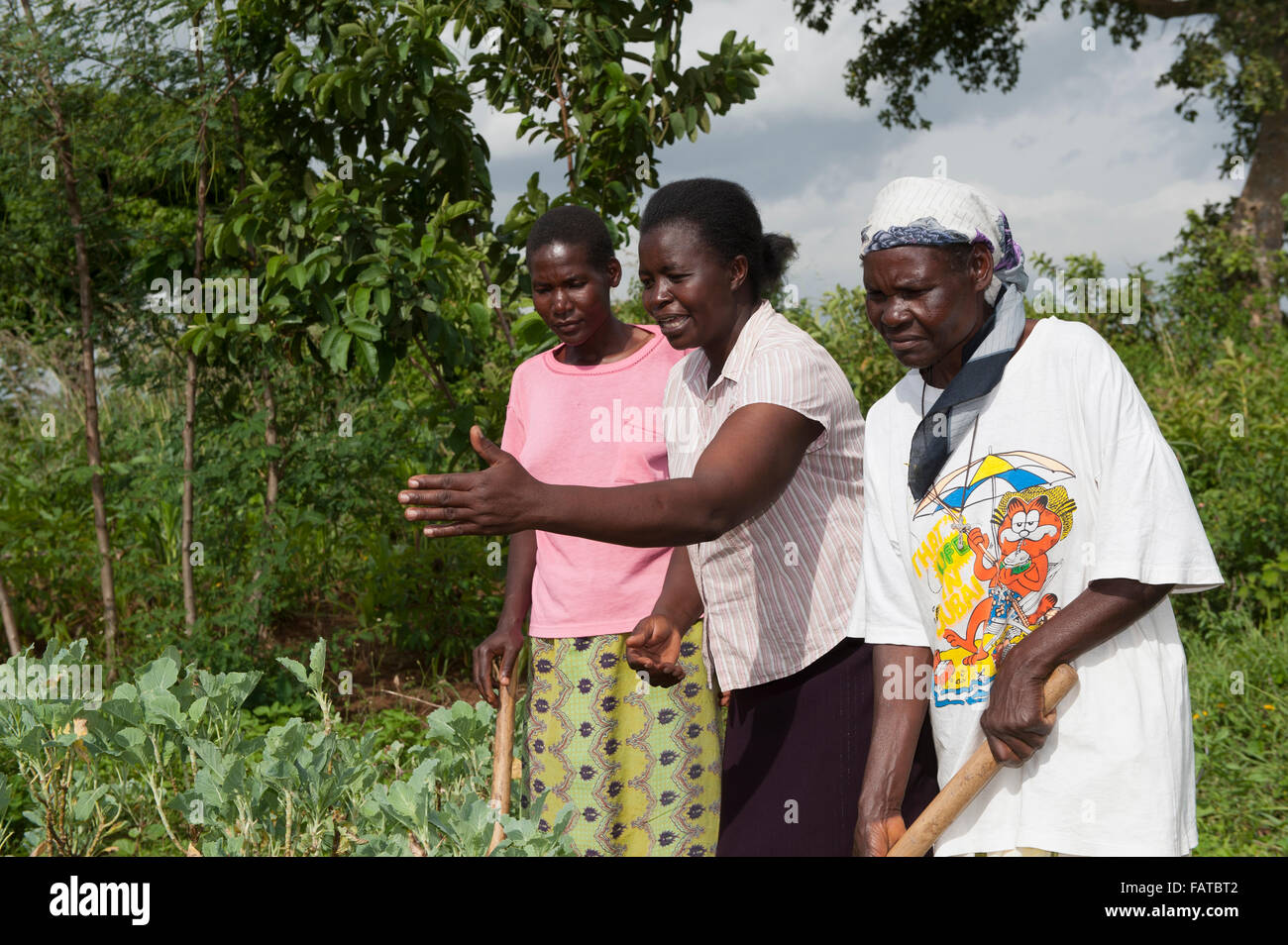 Due lady che gli agricoltori vengano dato consigli da un esperto di agricoltura circa il modo migliore per far crescere la loro Kale raccolto. Kenya. Foto Stock