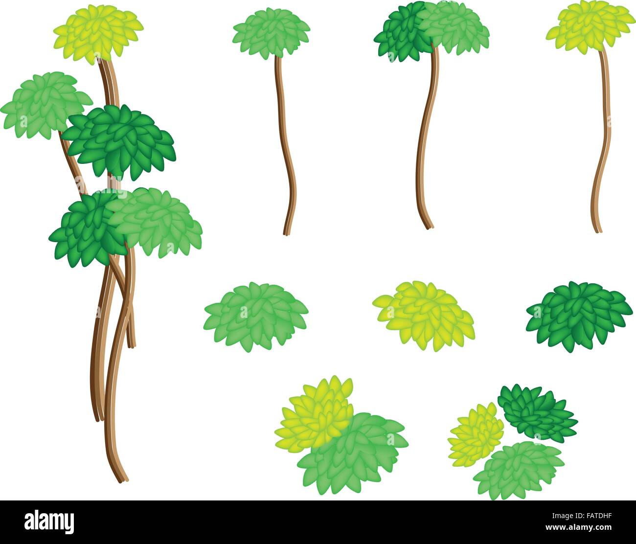 Dracaena pianta o albero di Yucca, una collezione illustrazione della struttura paesaggistica simboli o isometrica, alberi e piante per giardino De Illustrazione Vettoriale