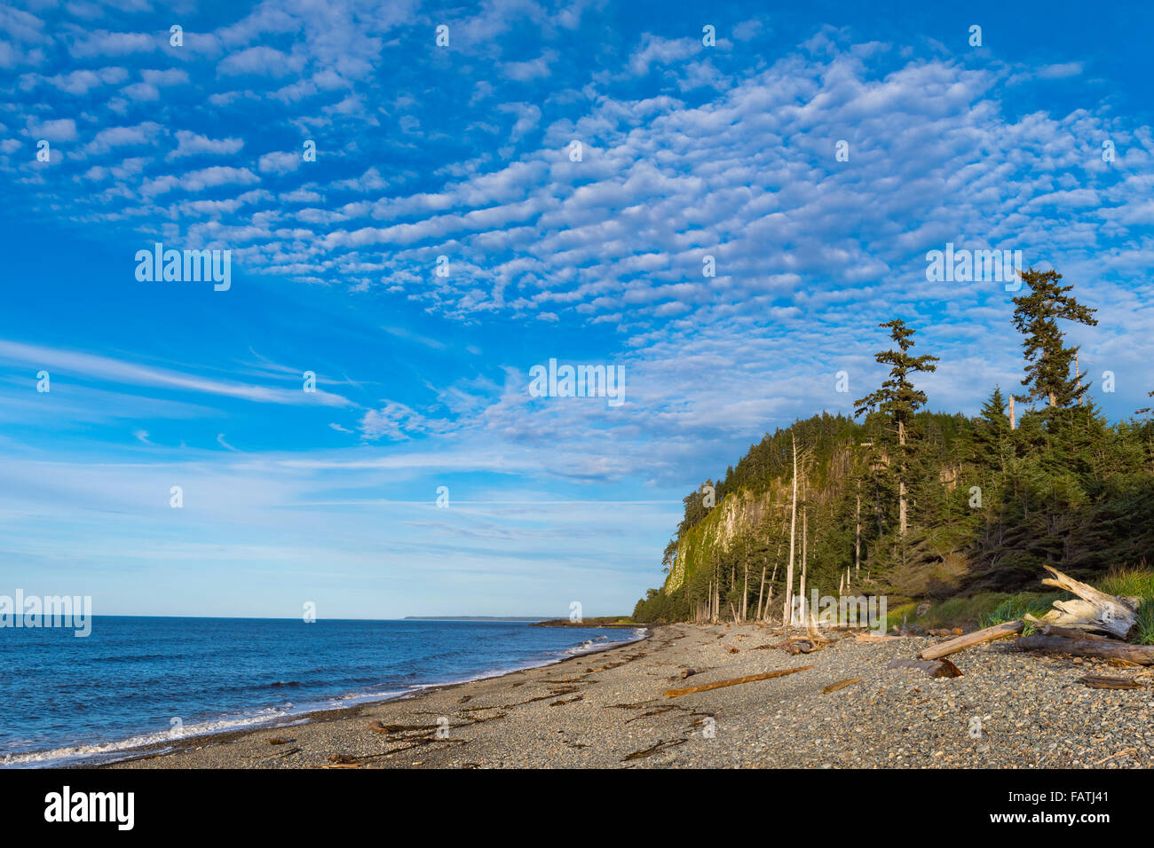 Costiere oceaniche viste Haida Gwaii della Columbia britannica in Canada Foto Stock