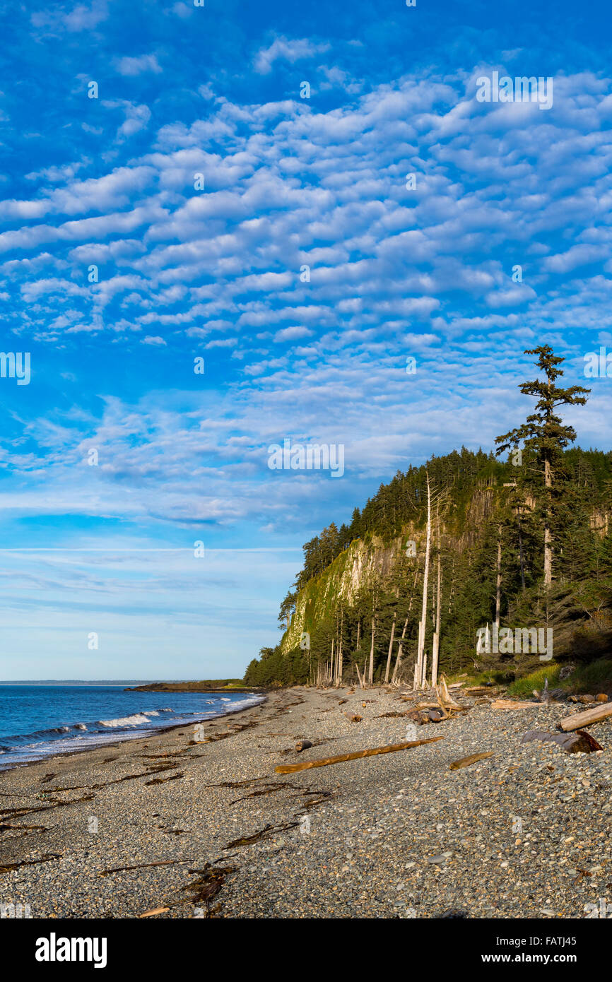 Costiere oceaniche viste Haida Gwaii della Columbia britannica in Canada Foto Stock