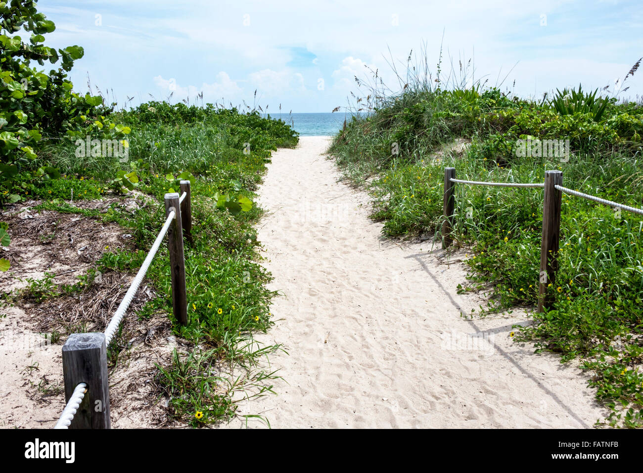 Florida ft. Fort Pierce, Fort Pierce Inlet Water state Park, spiagge, Oceano Atlantico, pubblico, sabbia, vegetazione naturale, duna, erba, percorso, escursioni, tr Foto Stock