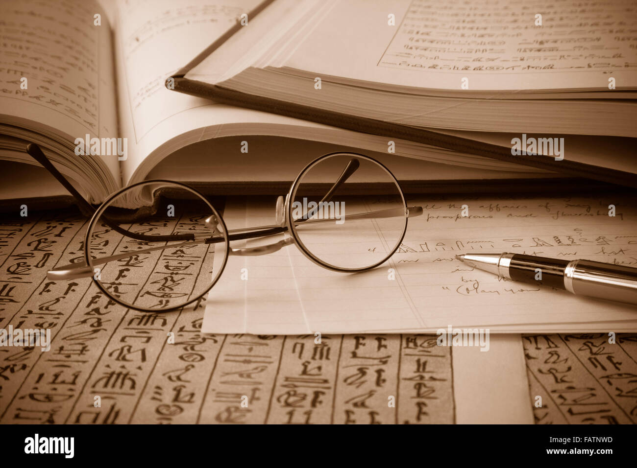 Papiro e libri di geroglifici Foto Stock