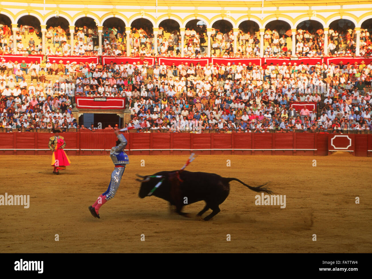 Banderilleros con bull a arena dei tori Maestranza di Siviglia (Sevilla), Spagna Foto Stock