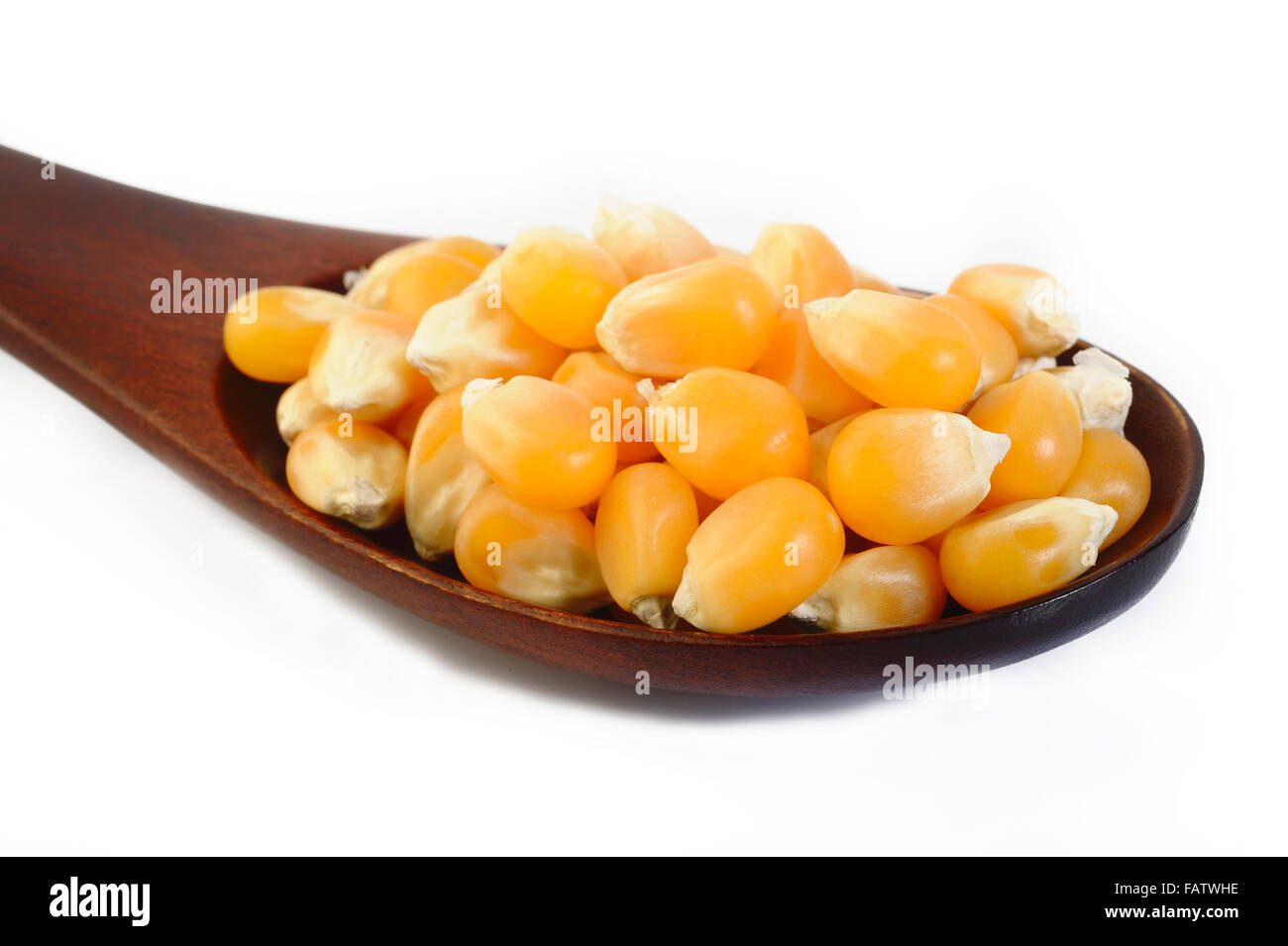 Essiccato semi di mais in cucchiaio di legno Foto Stock