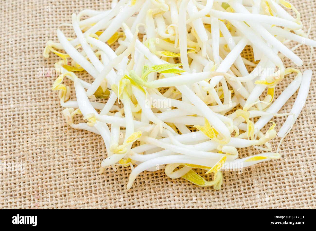 Mung Bean o di germogli di soia sul sacco sfondo. Foto Stock