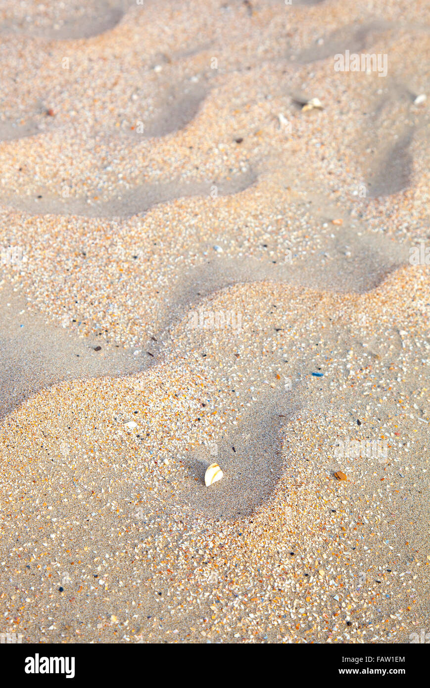Close up di sabbia sulla spiaggia Sunny Beach Foto Stock