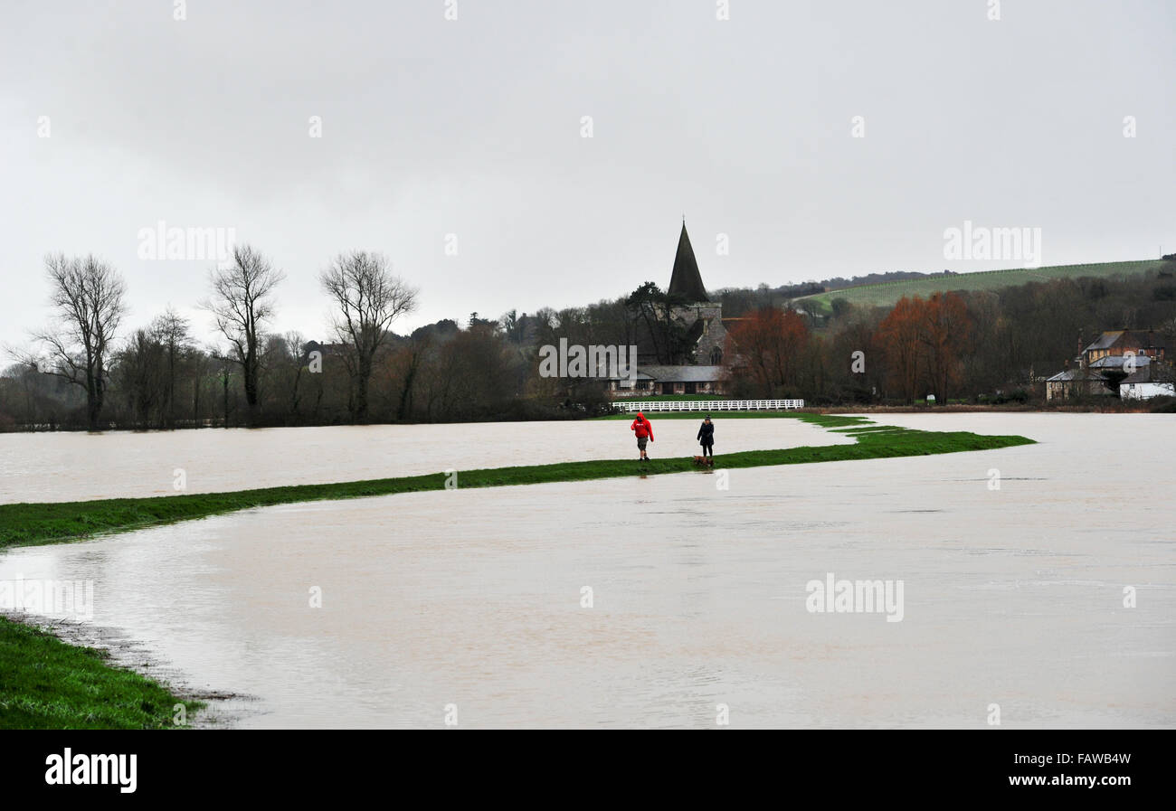 Alfriston, Sussex, Regno Unito. 5 gennaio 2016. Dog walkers su una banca stretta tra le inondazioni a Alfriston in East Sussex dove il fiume Cuckmere ha scoppiare le sue banche . Le previsioni meteo per pioggia per trasportare sul rientrante nel corso dei prossimi dodici ore nella zona causando più problemi Credito: Simon Dack/Alamy Live News Foto Stock