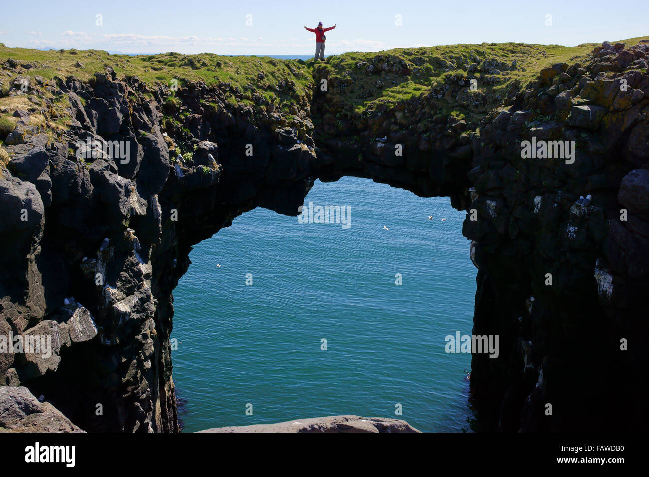 Arco di roccia a picco sul mare a Arnarstapi Nature Preserve, Penisola Snaefellsness, Islanda Foto Stock