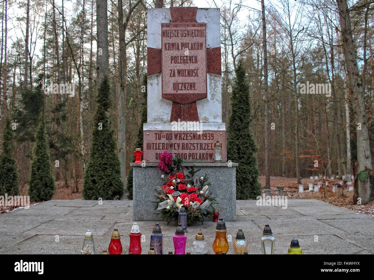 Szpegawsk, Polonia 5th, Gennaio 2015 nella foresta vicino Szpegawsk, Polonia settentrionale (Las Szpegawski) Nazisti tedeschi sterminati vicino a 7000 Polacco e inhibitians ebraica di Starogard Gdanski e Kociewie e regioni di Pomerania. Le vittime sono state sepolte in massa di 39 box. Gli attivisti nazionali, insegnanti, sacerdoti, di intellettuali e di ospedale psichiatrico in Kocborowo pazienti sono stati assassinati in Szpegawski foresta. Credito: Michal Fludra/Alamy Live News Foto Stock