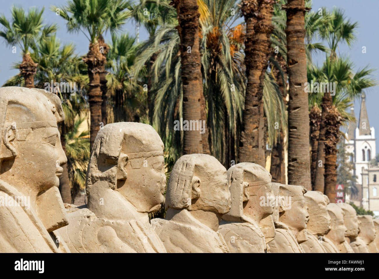 Corridoio di Sfingi presso il Tempio di Luxor complesso in Egitto Foto Stock