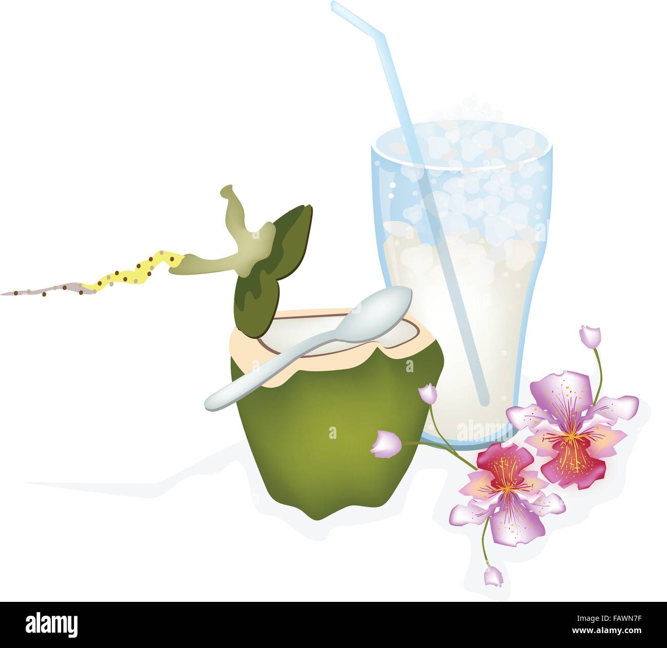 Frutta fresca, un'illustrazione della bella cocco fresco e un bicchiere di acqua di cocco Drink con bella rosa Orchidea Vanda Illustrazione Vettoriale