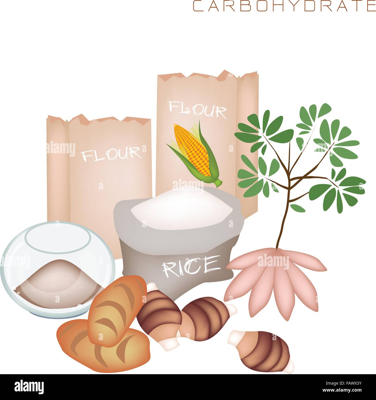 Vari tipi di carboidrati per migliorare l assunzione di nutrienti e benefici per la salute di carboidrato è uno dei principali tipi di Nutr Illustrazione Vettoriale