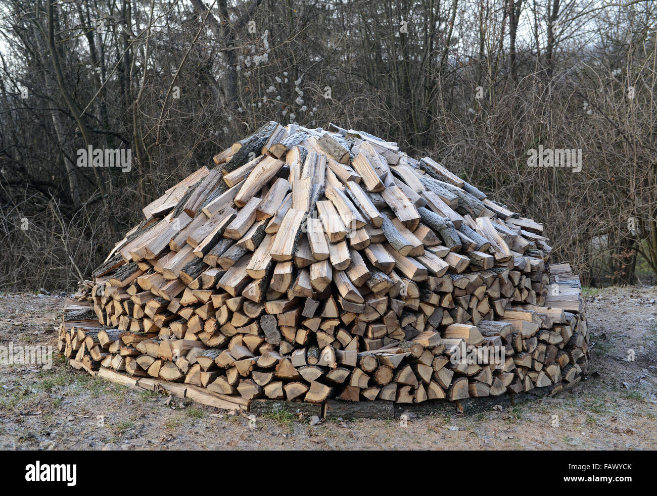 Enorme catasta di legna da ardere e vicino alla foresta. Foto Stock