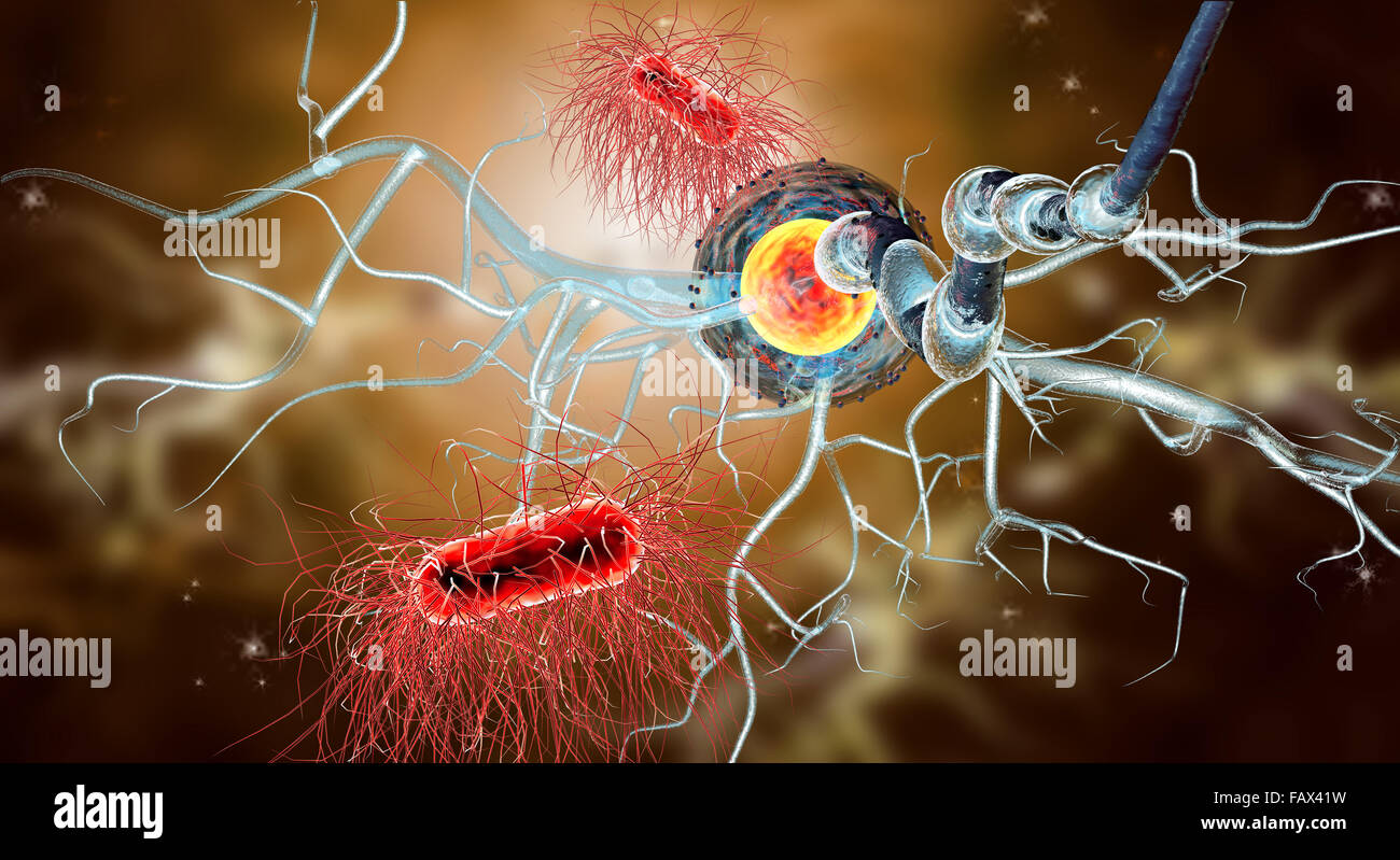 Le cellule nervose, concetto per malattie neurologiche, tumori e chirurgia cerebrale. Foto Stock