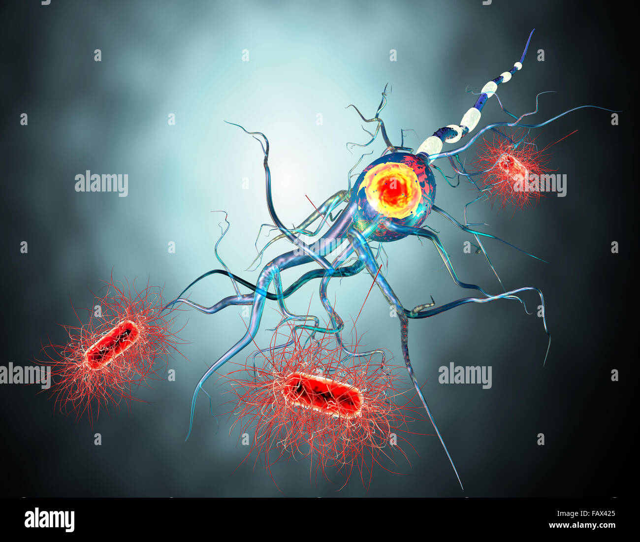 Le cellule nervose, concetto per malattie neurologiche, tumori e chirurgia cerebrale. Foto Stock