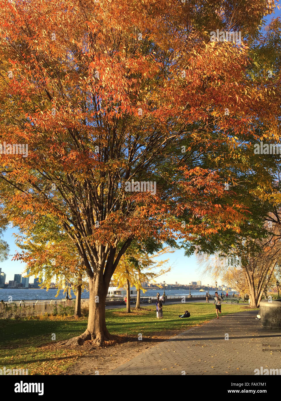 Rientrano in Battery Park, new york photo da jen lombardo Foto Stock