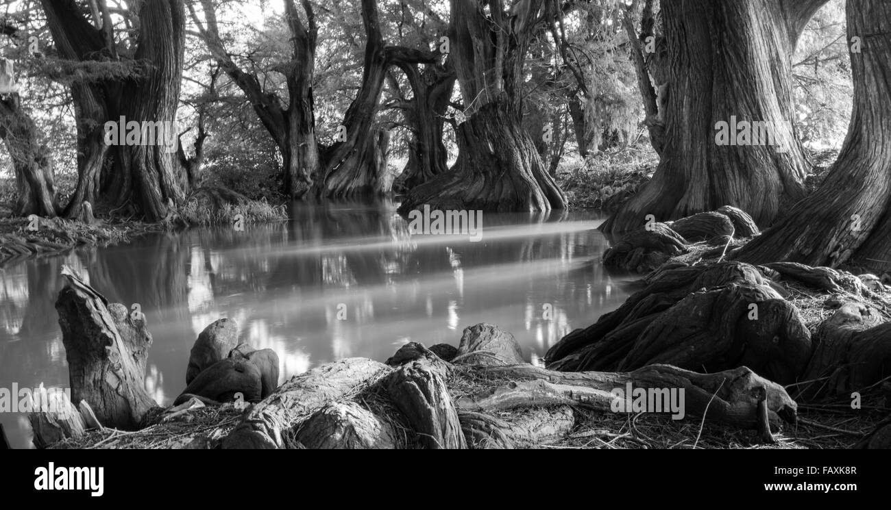 Paesaggio naturale in Messico Foto Stock