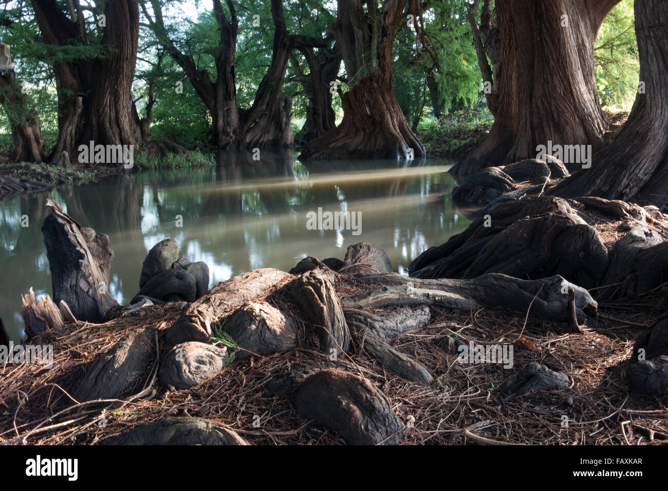 Camecuaro è un lago naturale di Michoacán México un posto meraviglioso da visitare Foto Stock