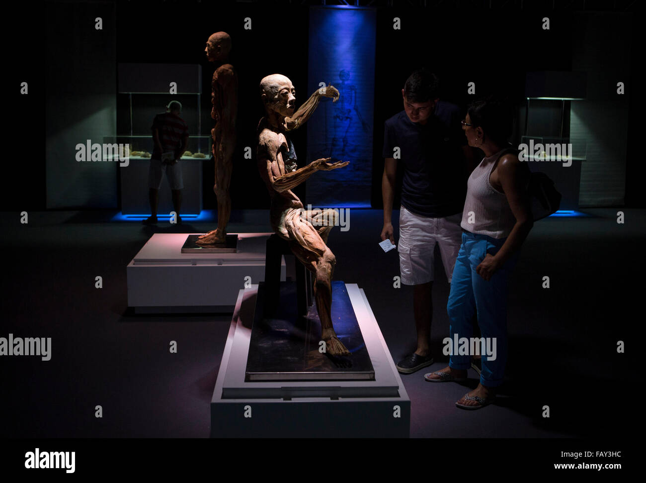 Buenos Aires, Argentina. Gen 5, 2016. La gente visita il 'corpi umani' mostra a Buenos Aires, Argentina, il 5 gennaio 2016. © Martin Zabala/Xinhua/Alamy Live News Foto Stock