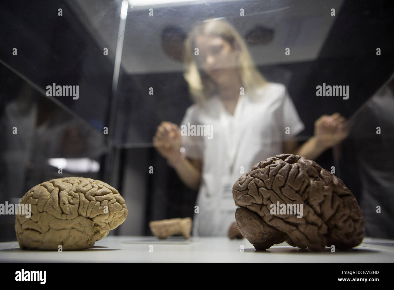 Buenos Aires, Argentina. Gen 5, 2016. Una donna si reca presso il 'corpi umani' mostra a Buenos Aires, Argentina, il 5 gennaio 2016. © Martin Zabala/Xinhua/Alamy Live News Foto Stock