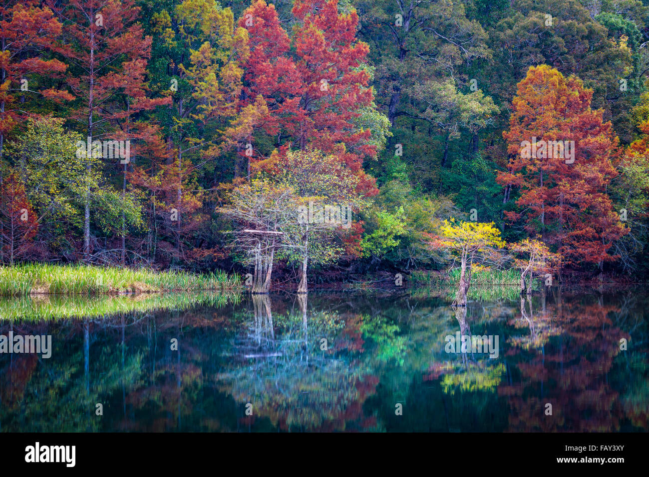 Castori Bend State Park è un 1.300 acri del parco statale si trova nei pressi di arco spezzato, Oklahoma Foto Stock