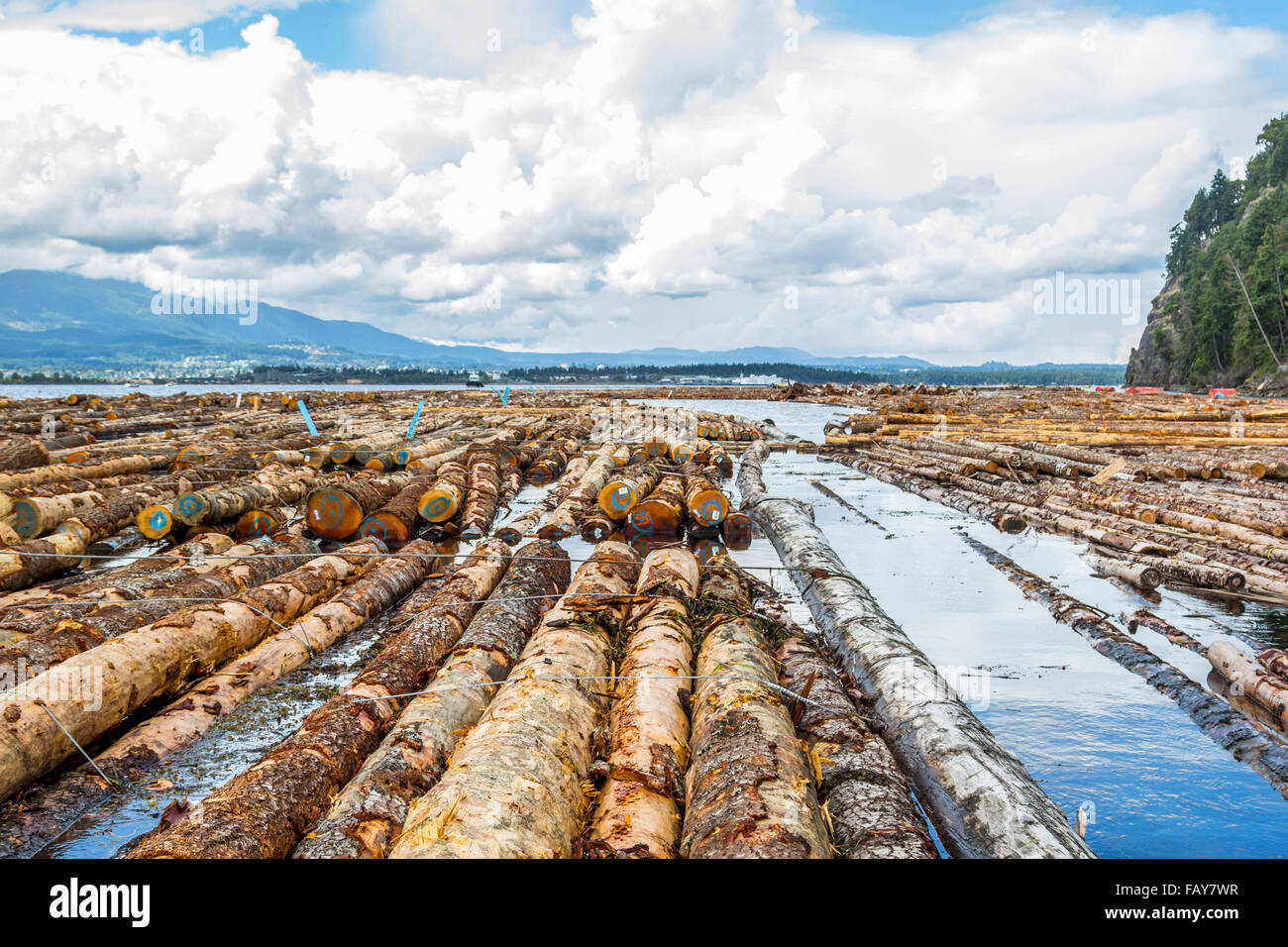 Un galleggiante west coast ordinamento registro per una società di registrazione sull'oceano; British Columbia, Canada Foto Stock